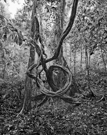 Costa Rica | Fine Art Photography by Eric Alan Pritchard | Nudes